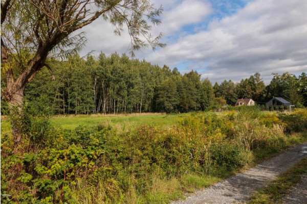 bielski, Wilkowice, Zielna, Działka w Wilkowicach ul.Zielna/ ul.Spacerowa